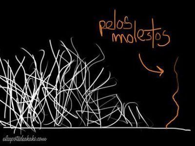 Glosario de pelos molestos (Parte I)