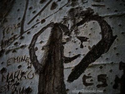 Cada mañana (poema I)