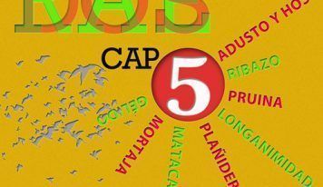RAEDOS: Capítulo 5