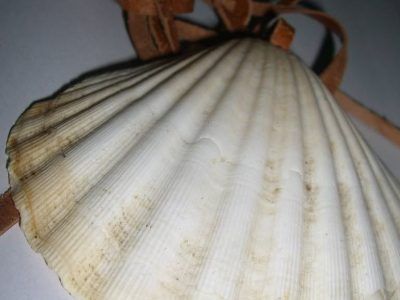 El camino