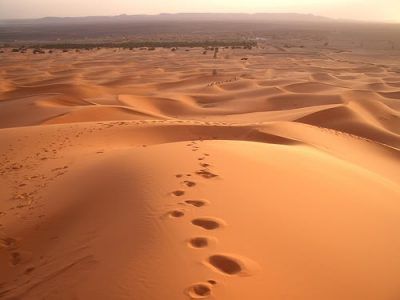 Solo una cosa hace que un sueño sea imposible: el miedo a fracasar.